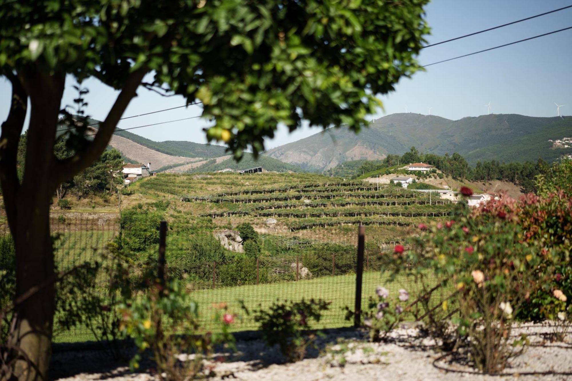 Hébergement de vacances Casa De Belmonte *