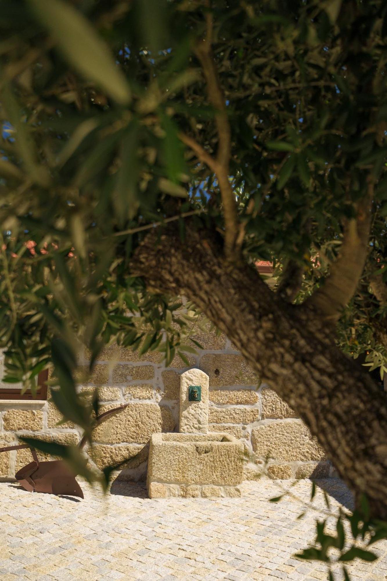 Casa De Belmonte Hébergement de vacances