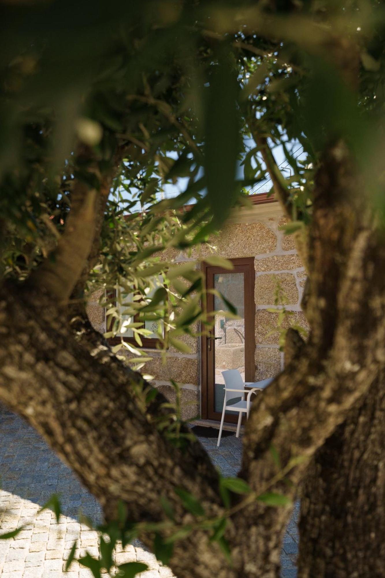 Casa De Belmonte *