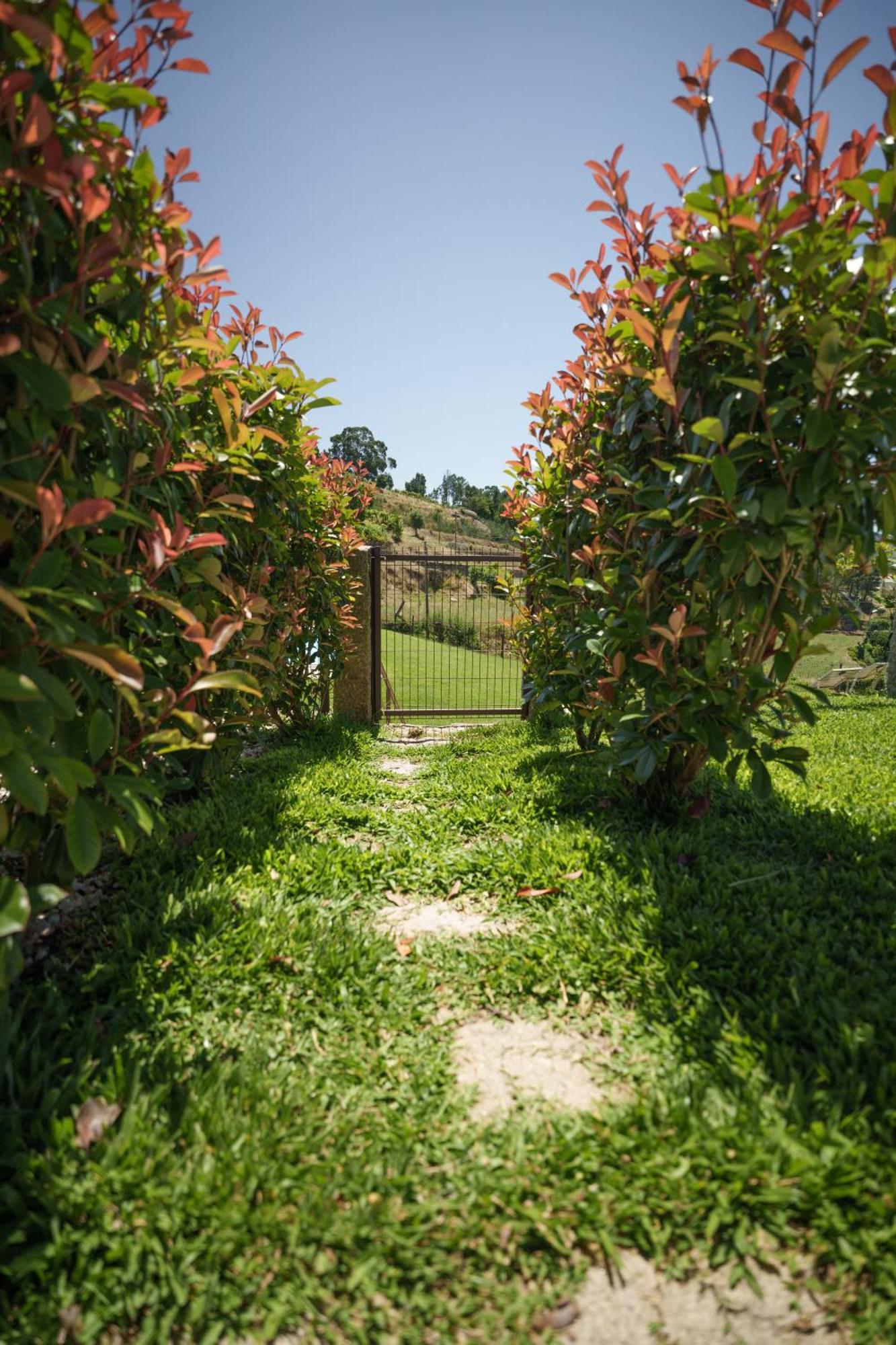 Casa De Belmonte Hébergement de vacances