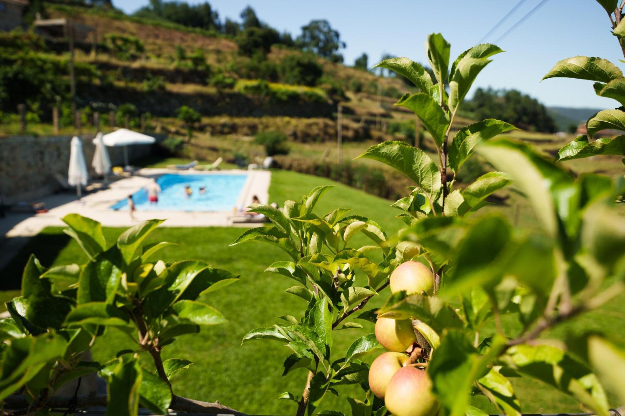Casa De Belmonte Hébergement de vacances Castelo de Paiva