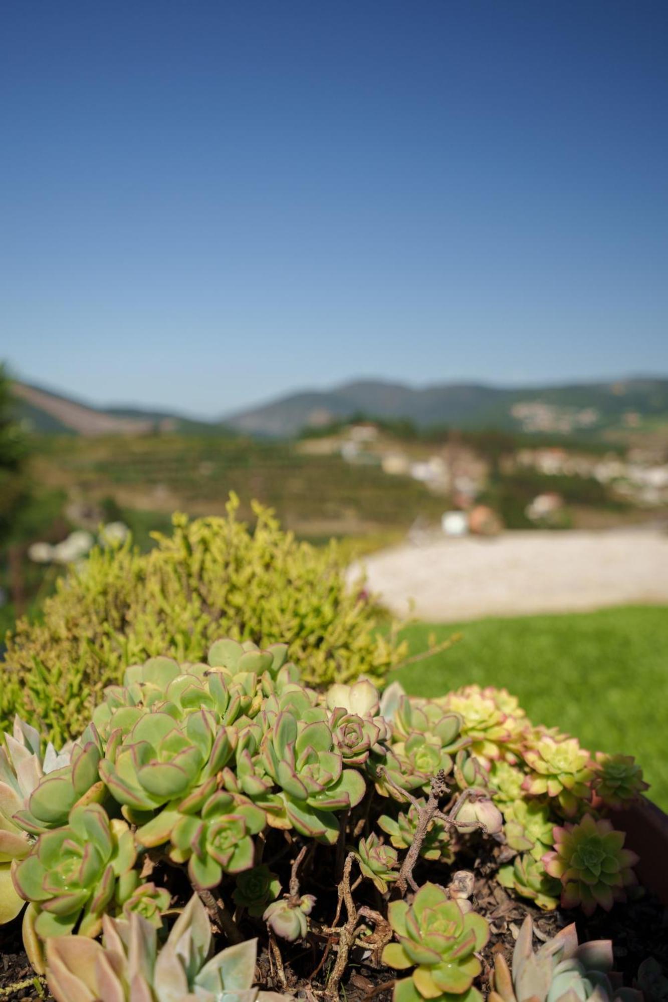 Hébergement de vacances Casa De Belmonte